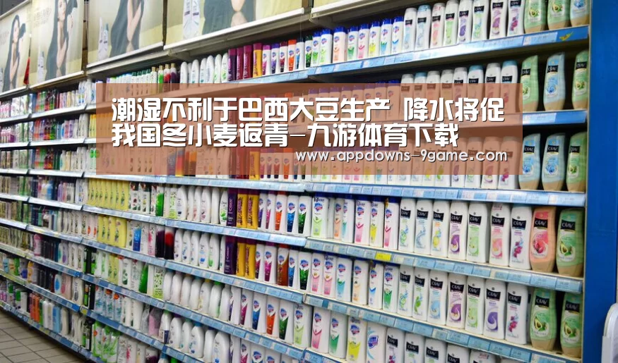 九游官网入口地址