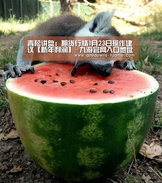 九游平台app下载