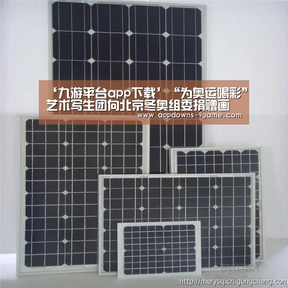 ‘九游平台app下载’“为奥运喝彩”艺术写生团向北京冬奥组委捐赠画作(图2)