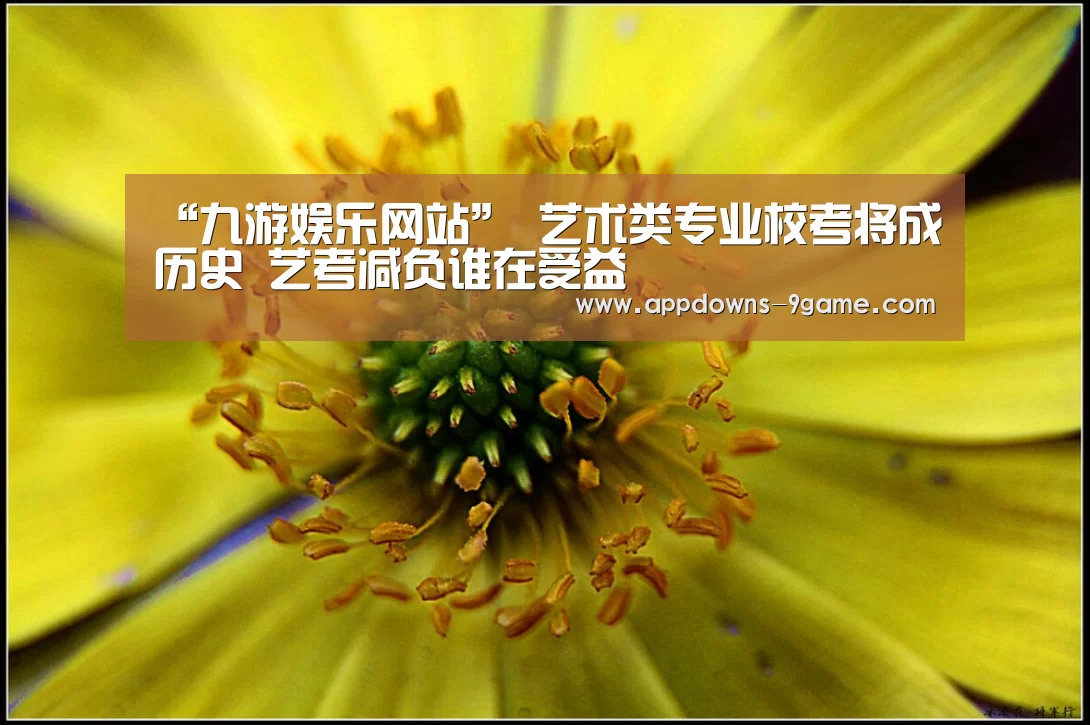 九游体育下载