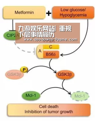 九游娱乐网站|
重视下层事情履历(图4) 九游体育官网