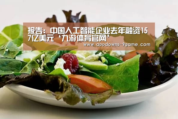 报告:中国人工智能企业去年融资157亿美元‘九游体育官网’(图1) 九游平台app下载