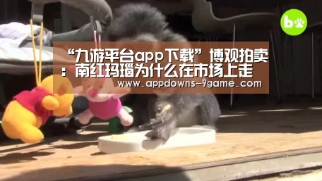 九游体育官网