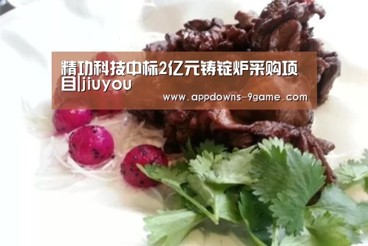 精功科技中标2亿元铸锭炉采购项目|jiuyou(图1) 九游体育官网
