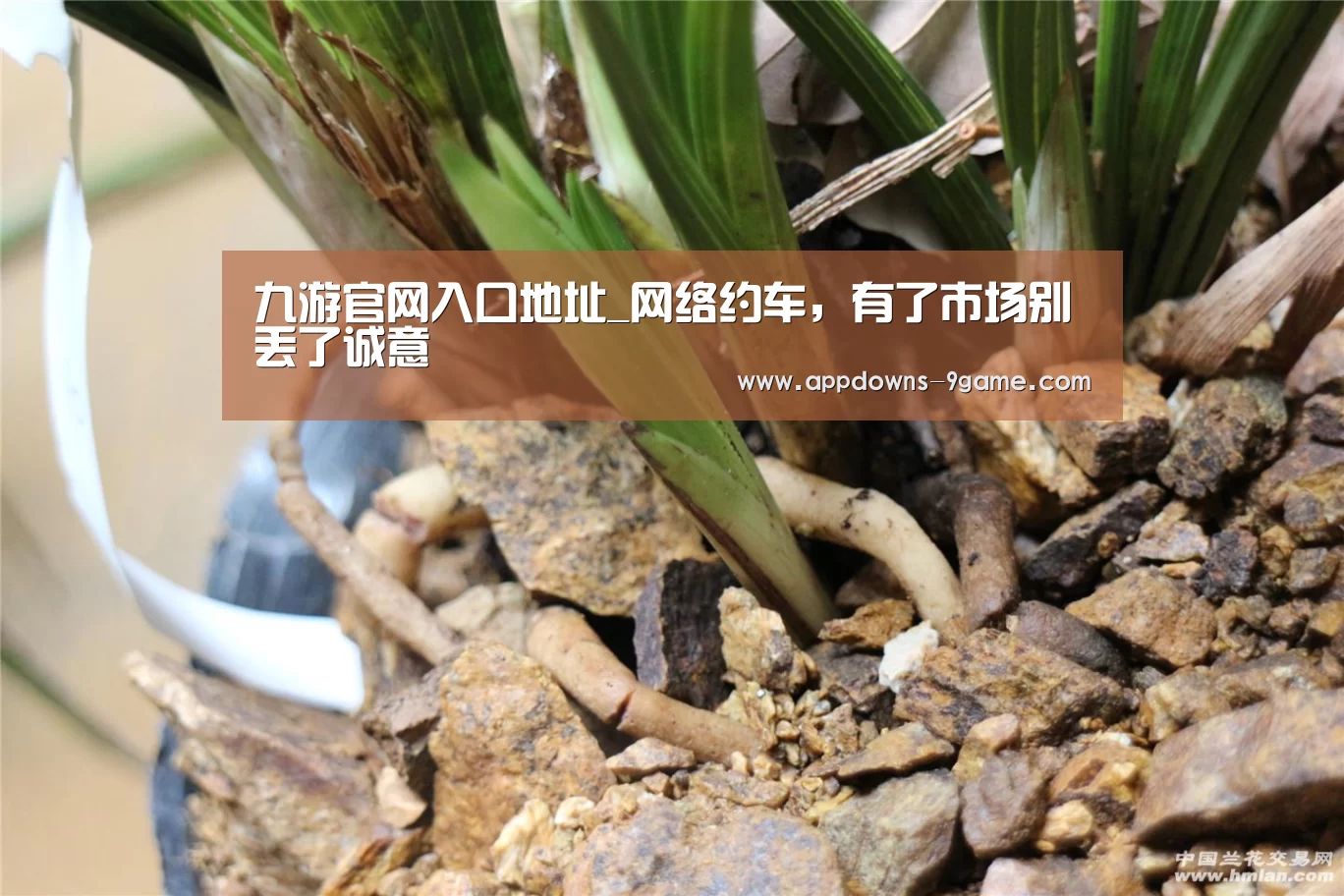 九游官网入口地址_网络约车,有了市场别丢了诚意(图2) 九游体育下载